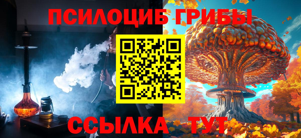 Псилоцибиновые грибы Cubensis Гагарин