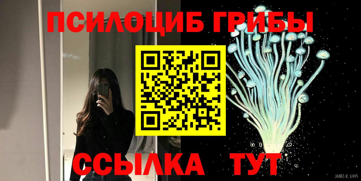 Гагарин  наркотики  Вход с VPN  Псилоцибиновые грибы мухоморы 